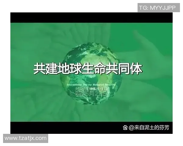 吴姓足球明星的辉煌历程与成就解析